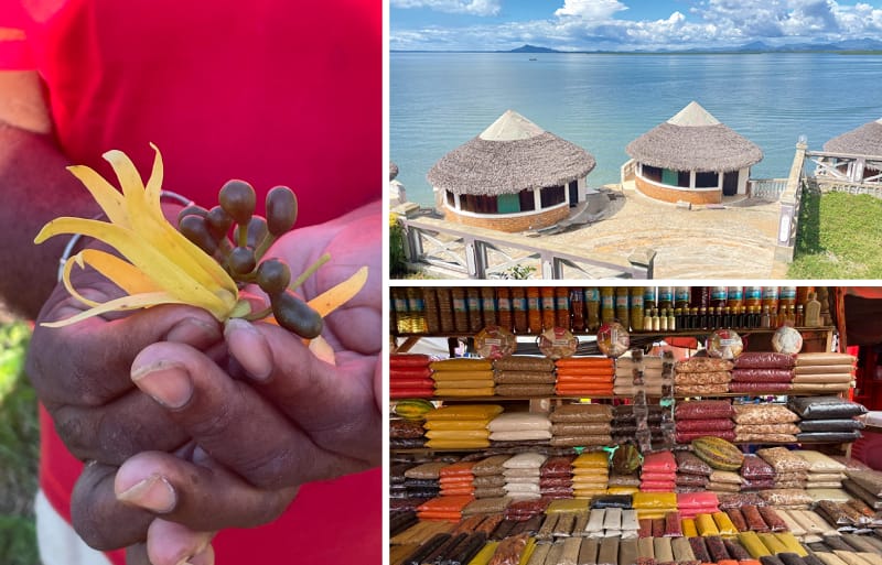 鈴木シェフのカカオ産地探訪記