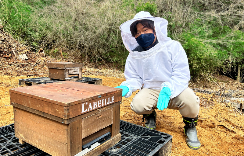アトリエうかいの養蜂2026~巣箱設置~