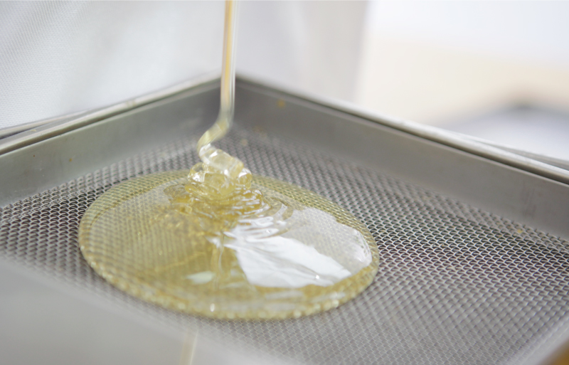 アトリエうかいの養蜂2026~巣箱設置~