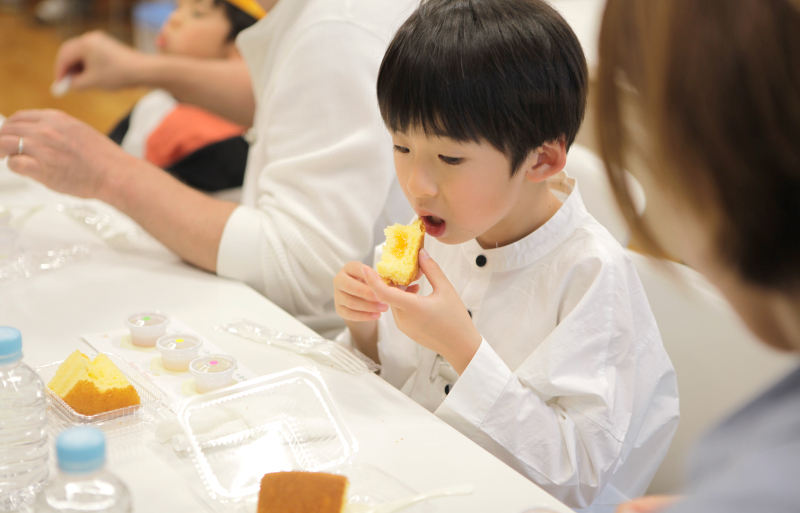 アトリエうかいの養蜂2026~巣箱設置~