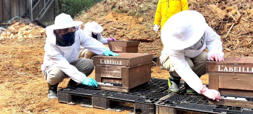 アトリエうかいの養蜂2026～巣箱設置～